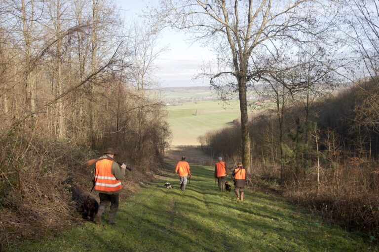 Bilan intermédiaire des accidents au 4 novembre 2024