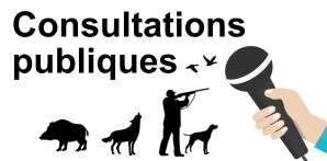 Consultations publiques