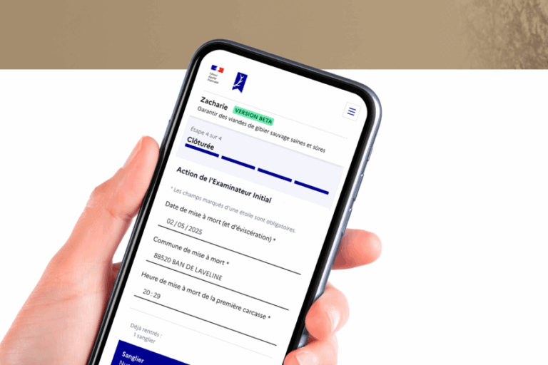 Fiche d’examen initial : une application sur votre smartphone