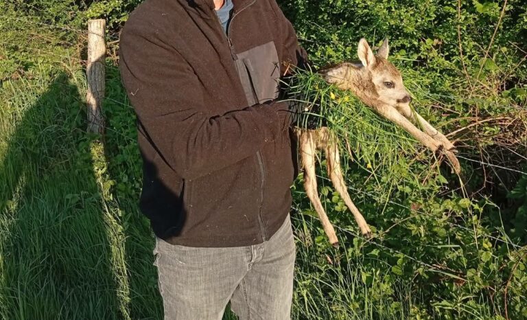 Sauvetage des faons : c&rsquo;est parti pour la 2ème saison !