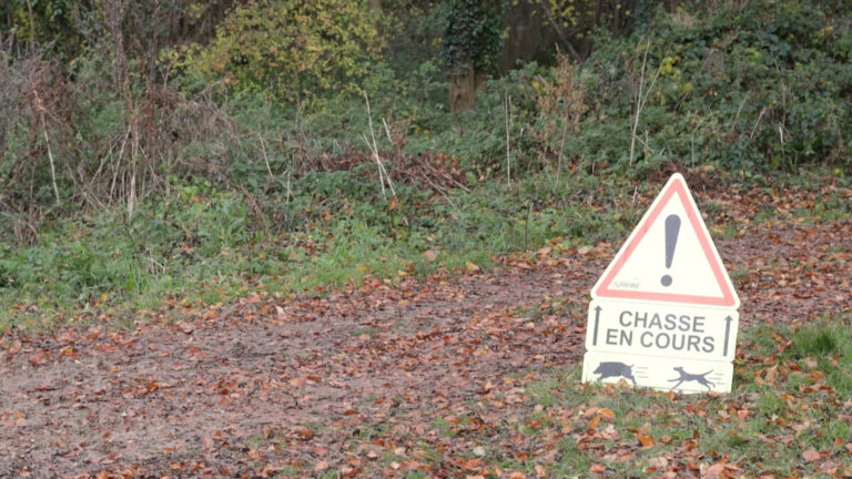 Coup de pouce à la signalisation de vos battues au grand gibier
